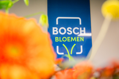 Bosch Bloemen