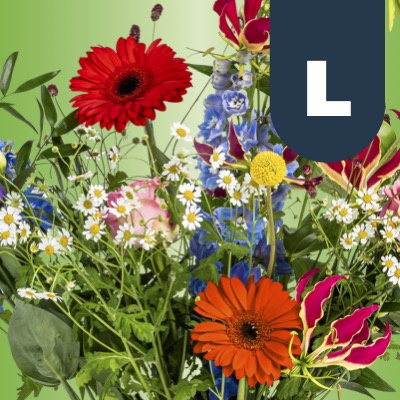 € 25,- - Bosch Bloemen