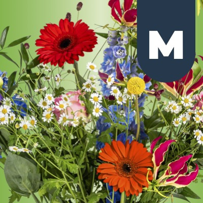 € 25,- - Bosch Bloemen