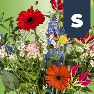 € 25,- - Bosch Bloemen