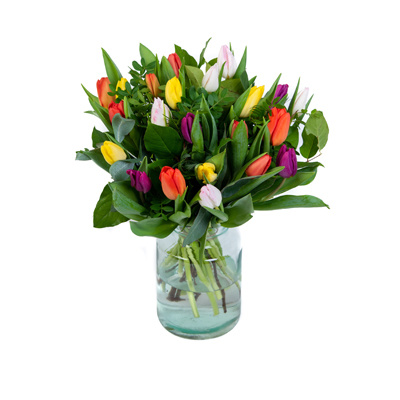 Tulpen - Bosch Bloemen