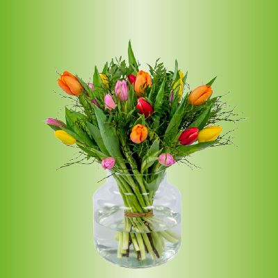 Tulpen - Bosch Bloemen